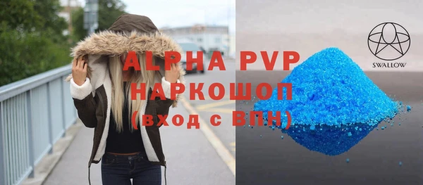 индика Осинники
