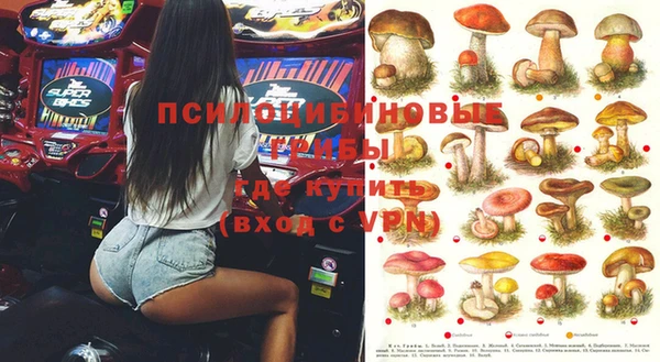 индика Болхов
