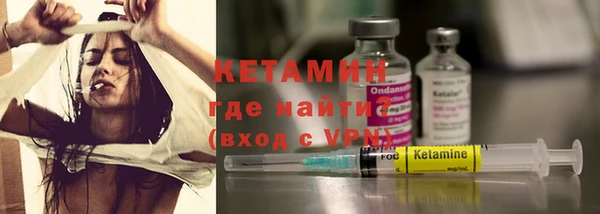 индика Осинники