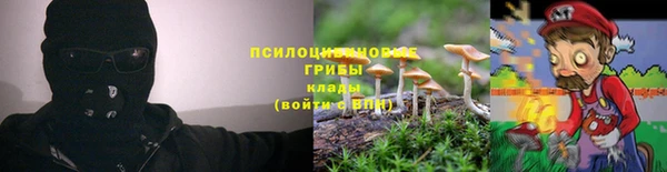 дмт Няндома