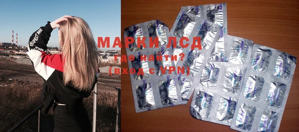 индика Осинники