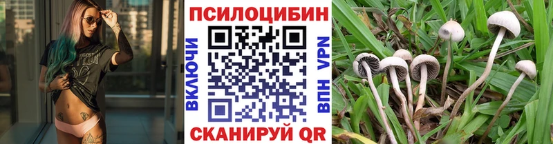 Галлюциногенные грибы Psilocybine cubensis  где купить   Алушта 