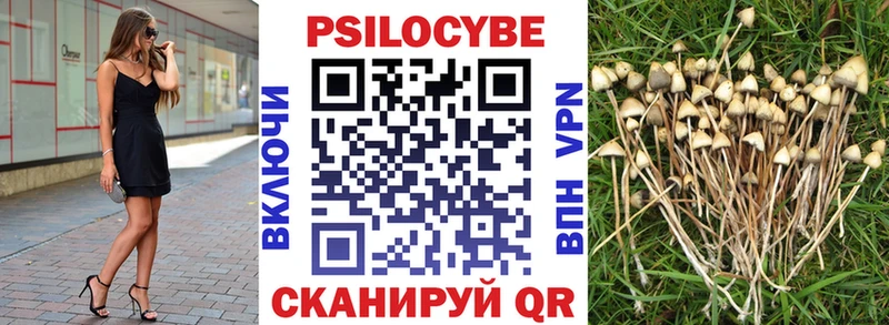Псилоцибиновые грибы прущие грибы Алушта