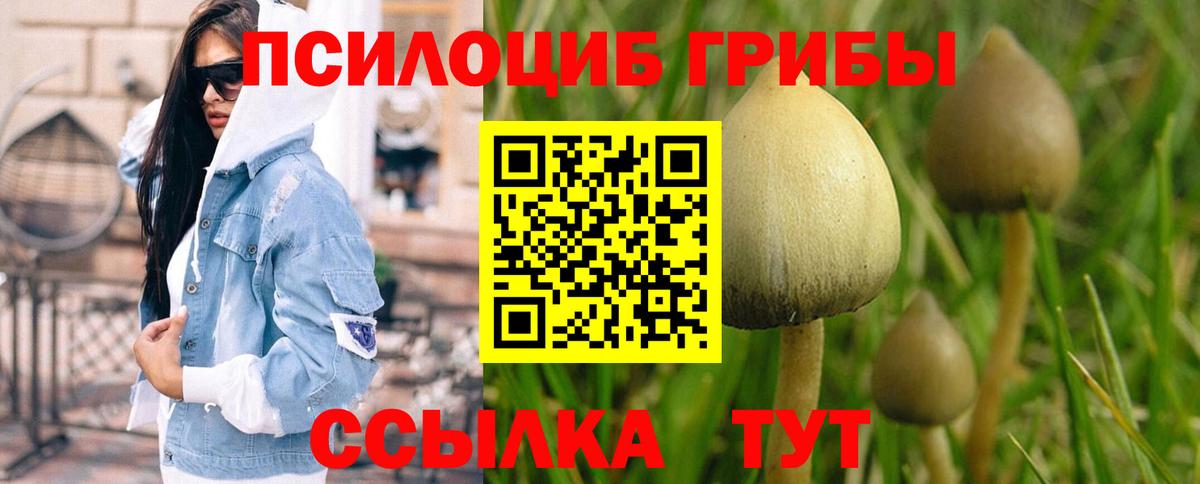 Галлюциногенные грибы Psilocybine cubensis  Вход с VPN  Алушта  Псилоцибиновые грибы Psilocybe 